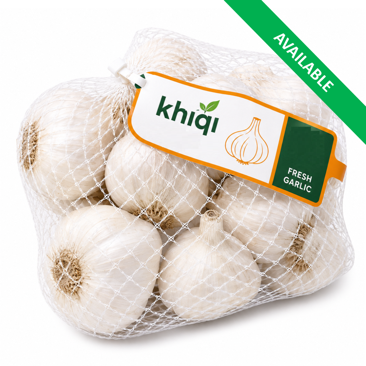 Garlic
